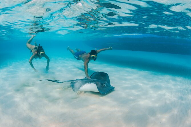 Half-Day Private Stingray City Charter - Grand Cayman - BTC - What is included, and what you still need to plan
