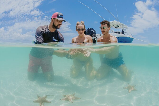 Half-Day Private Stingray City Charter - Grand Cayman - BTC - Is $1,300 good value for your group?