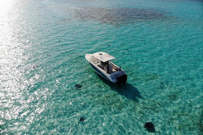 Half-Day Private Stingray City Charter - Grand Cayman - BTC - Stingray City: the reason most people book