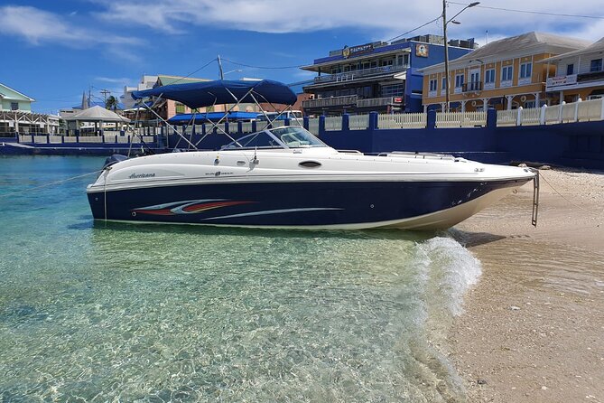 Half-Day Private Stingray City Charter in Cayman Islands - Key points to know before booking