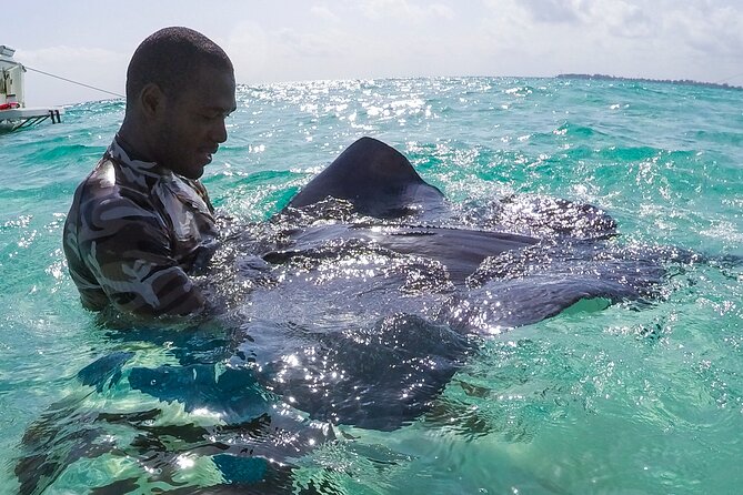 Half-Day Private Stingray City Charter in Cayman Islands - Why a private Stingray City boat can be worth the price