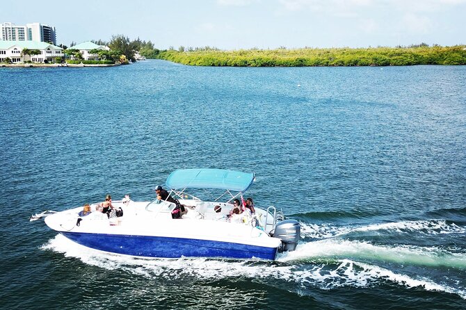 Half-Day Private Stingray City Charter in Cayman Islands - Reef snorkeling beside Stingray City