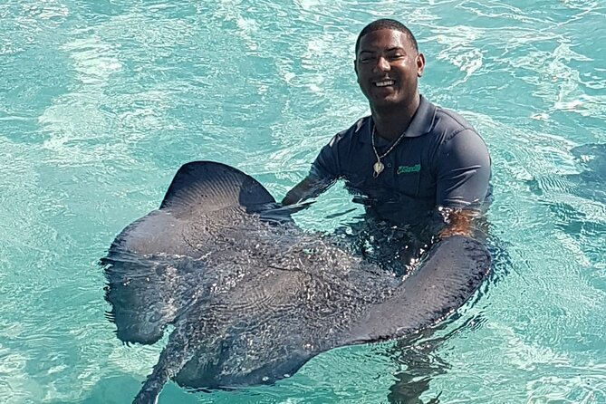 Half-Day Private Stingray City Charter in Cayman Islands - Meeting the stingrays at the North Sound sandbar