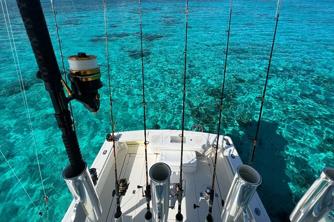 Luxury Private Fishing Charters - FULL DAY CHARTER - A luxury boat that earns its place