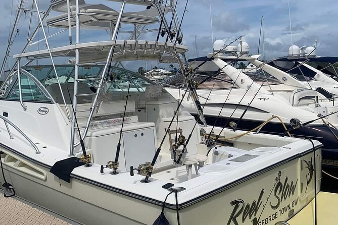Luxury Private Fishing Charters - FULL DAY CHARTER - Reef fishing in the North Sound