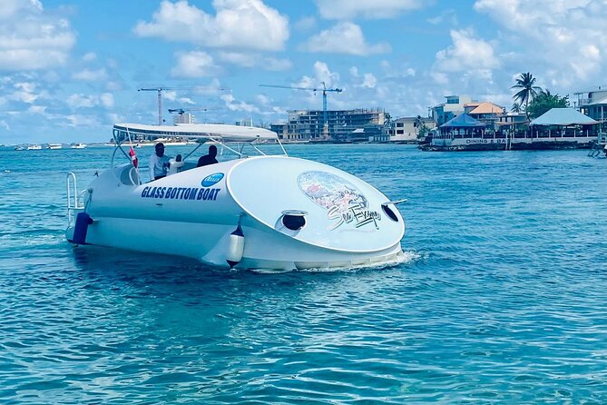 Oculus Glass Bottom Boat Tour - Key points to know before you book