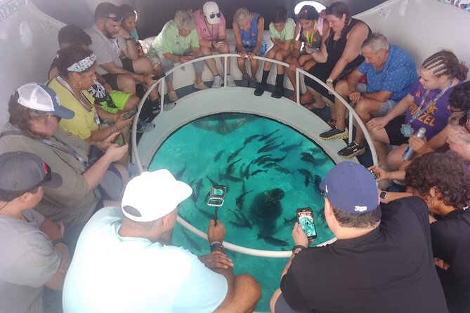 Oculus Glass Bottom Boat Tour - Choosing the snorkeling add-on