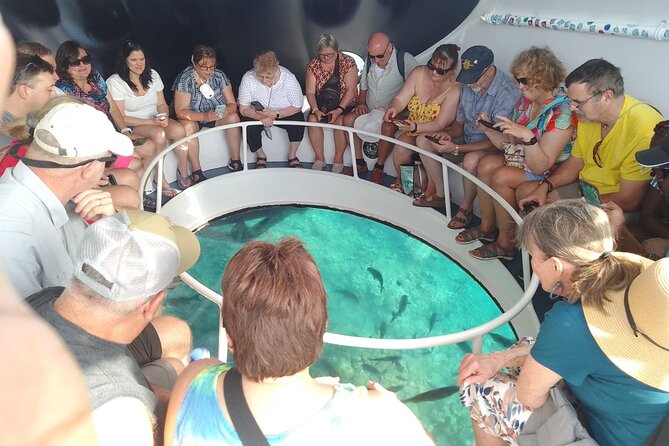 Oculus Glass Bottom Boat Tour - Price and what you receive for $59.95