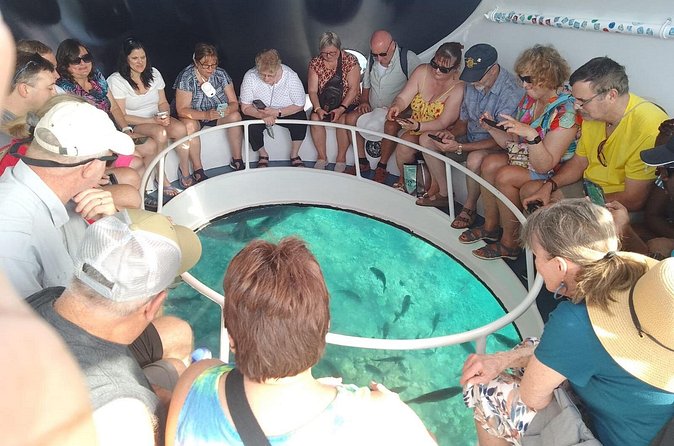 Oculus Glass Bottom Boat Tour - Boarding, comfort, and who should take care