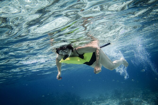 Private 4 hour Catamaran Tour - Who Should Book This Charter?