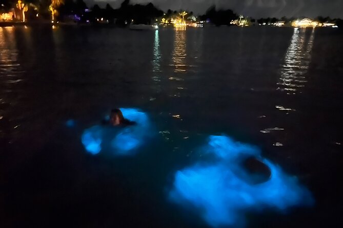 Private: Bioluminescence Tour - Key points at a glance