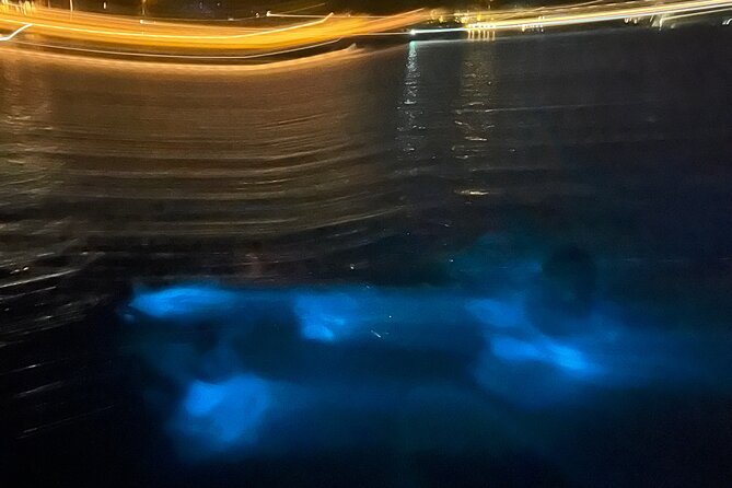 Private: Bioluminescence Tour - Captains who make the trip personal