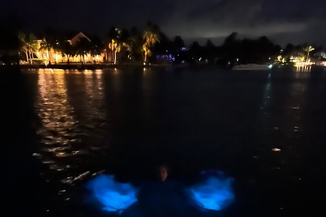 Private: Bioluminescence Tour - Is $599 a fair price?