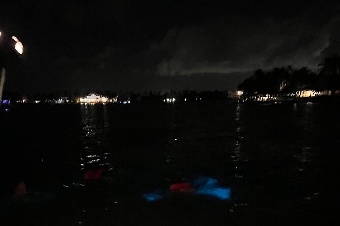 Private: Bioluminescence Tour - Practical details worth handling before departure