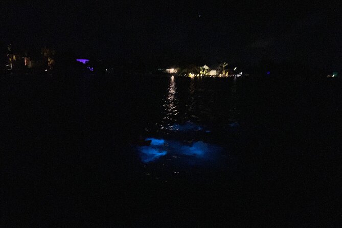Private: Bioluminescence Tour - Should you book the private bioluminescence tour?