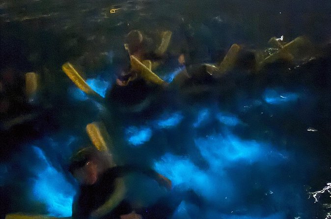 Private Bioluminescence Tour in Grand Cayman - What makes the private group format valuable