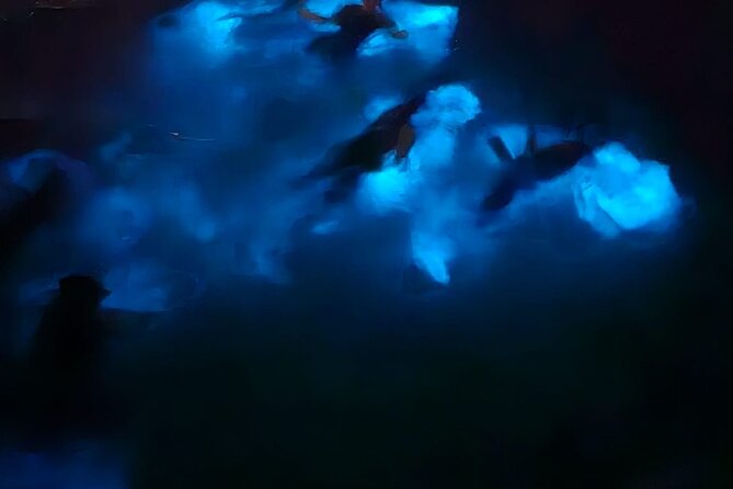 Private Bioluminescence Tour in Grand Cayman - What to bring and how to prepare