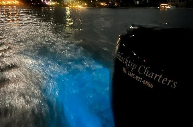 Private Bioluminescence Tour in Grand Cayman - Who should book the Black Tip Charters experience