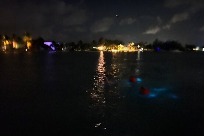 Private: Bioluminescence Tour - One hour in the bioluminescent bay