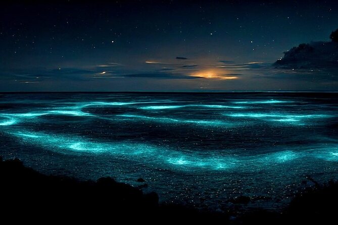 Private Bioluminescent Bay Tour - Key points to know before you book