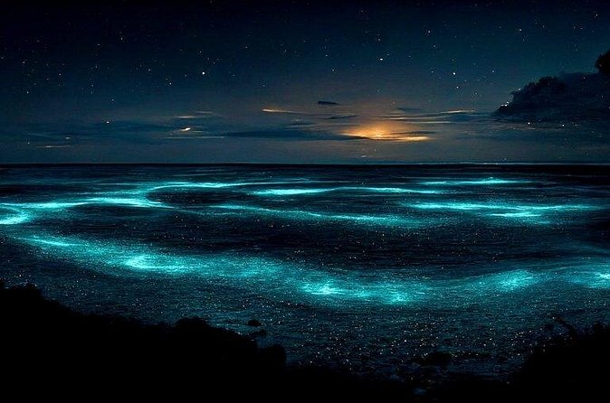 Private Bioluminescent Bay Tour - Who will enjoy this night on the water