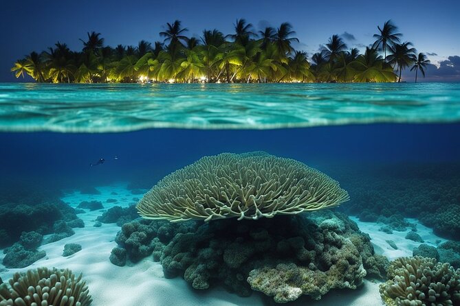 Private Bioluminescent Bay Tour - Leaving from Cayman Islands Yacht Club at 7:00 pm