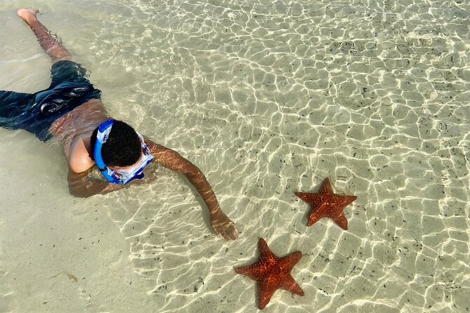 Private Boat Charter in Cayman Islands - Rum Point and Coral Gardens finish the route