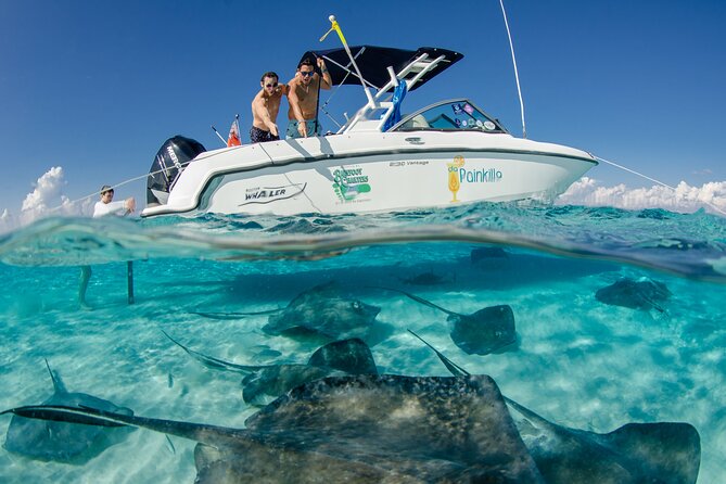 Private boat charter in Grand Cayman - Key points to know before booking