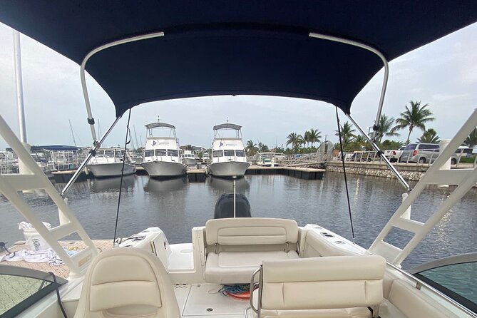 Private boat charter in Grand Cayman - A mangrove river cruise for a change of scenery