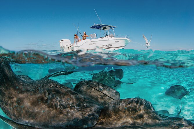Private Boat Charter Snorkeling Stingray City or Bio Bay - Stingray City: the signature stop