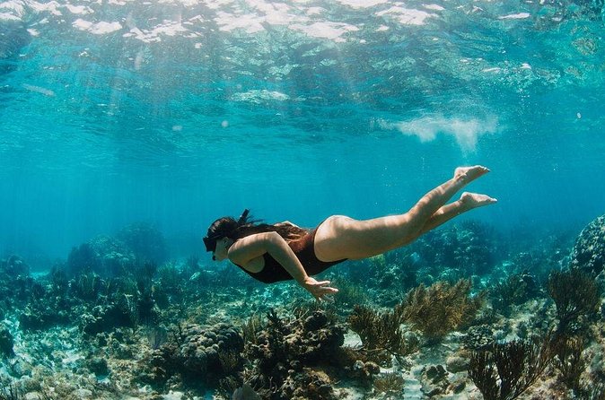 Private Boat Charter Snorkeling Stingray City or Bio Bay - Bioluminescent Bay after dark