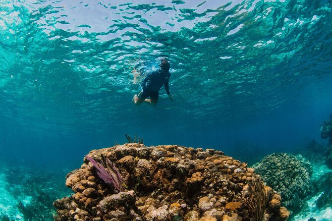 Private Boat Charter Snorkeling Stingray City or Bio Bay - Weather, communication, and the practical details