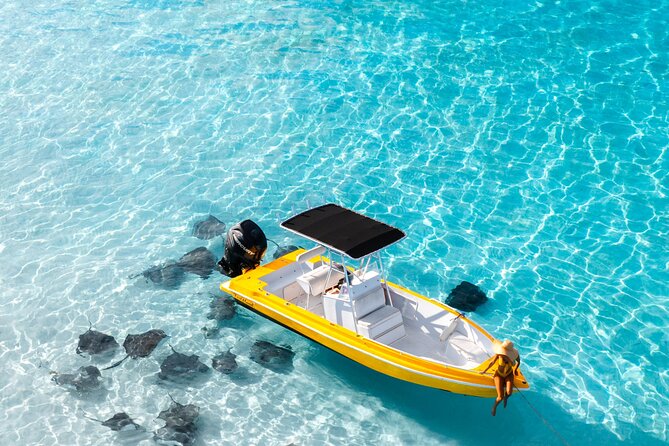 Private Boat Tours: Customize Your Grand Cayman Adventure! - Stingray City is the main event