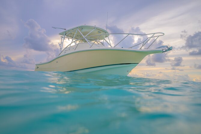 Private Boat Tours: Customize Your Grand Cayman Adventure! - What the $499 price really means