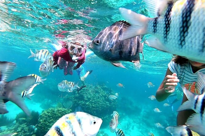 Private Charter 28ft Grady White. Stingrays, Snorkeling, Starfish - A private boat makes Stingray City more personal
