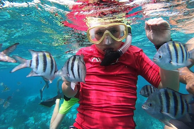 Private Charter 28ft Grady White. Stingrays, Snorkeling, Starfish - Is $750 good value for a private charter?