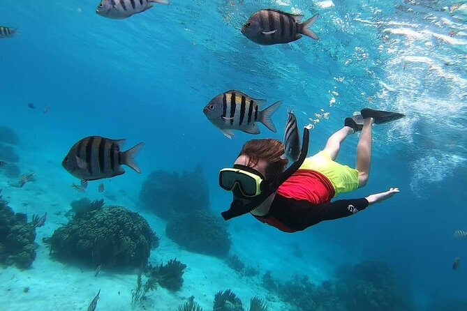 Private Charter 34ft Express Cruiser Stingay City Reef Snorkeling - What the $1,000 price really buys you