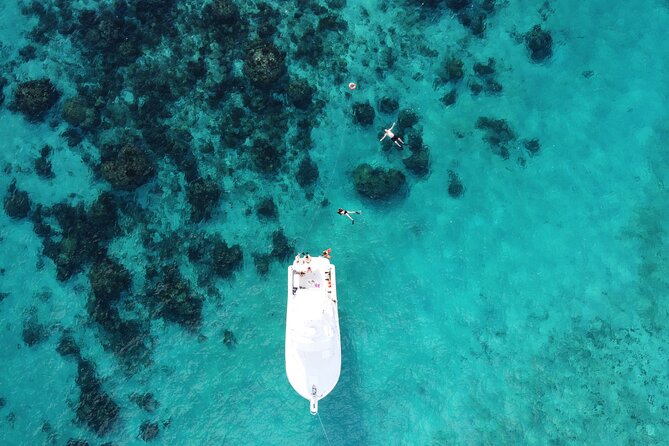 Private Charter 34ft Express Cruiser Stingay City Reef Snorkeling - Who should book this private boat day