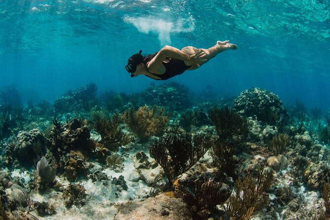 Private Charter Reef fishing, Stingray City, Snorkel, Mangroves - Mangroves and local choices