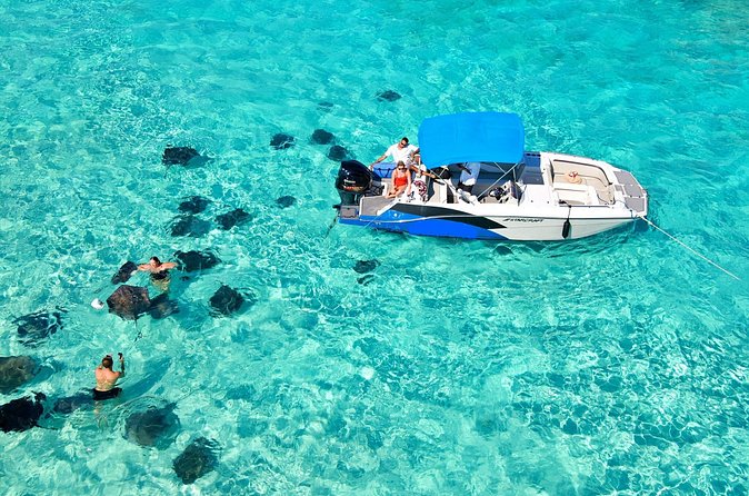 Private, Guided Boat Charters in The Cayman Islands - Timing, meeting point, and what to bring