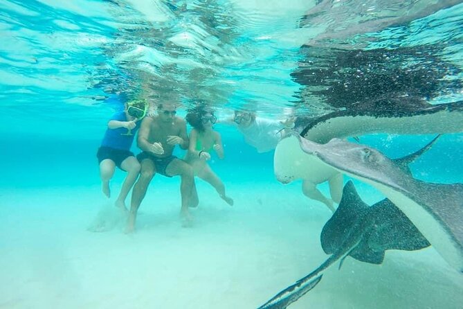 Private Half Day Boat Tour, 3 locations of your choice - Stop three: snorkeling above Grand Cayman’s coral heads