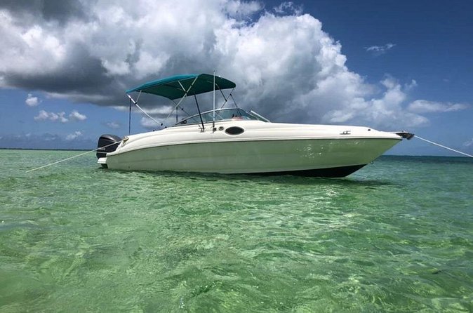 Private Half-Day Charter to Stingray City, Starfish Point and Snorkeling Tour - Snorkeling in 12 to 15 feet of water