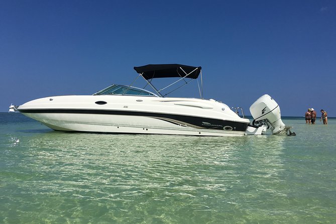 Private Half Day Stingray City, Snorkeling and Starfish Beach Tour - Key points to know before you book
