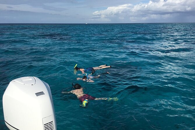 Private Half Day Stingray City, Snorkeling and Starfish Beach Tour - Stingray City: the main event