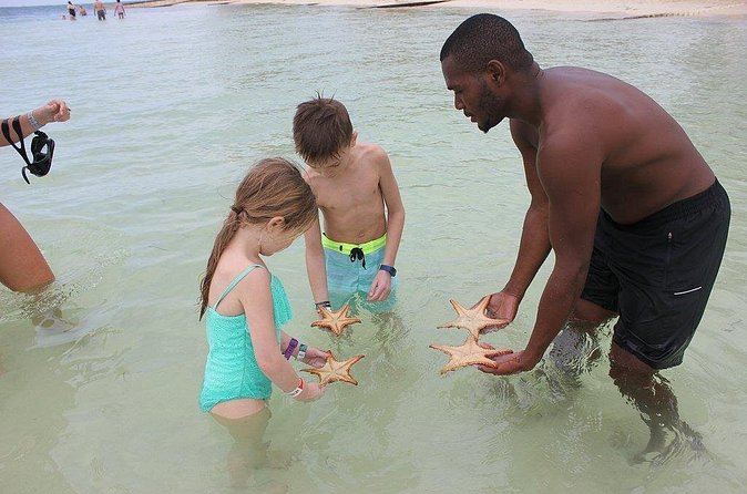 Private Half Day Stingray City, Snorkeling and Starfish Beach Tour - A captain-led day, not a fixed script