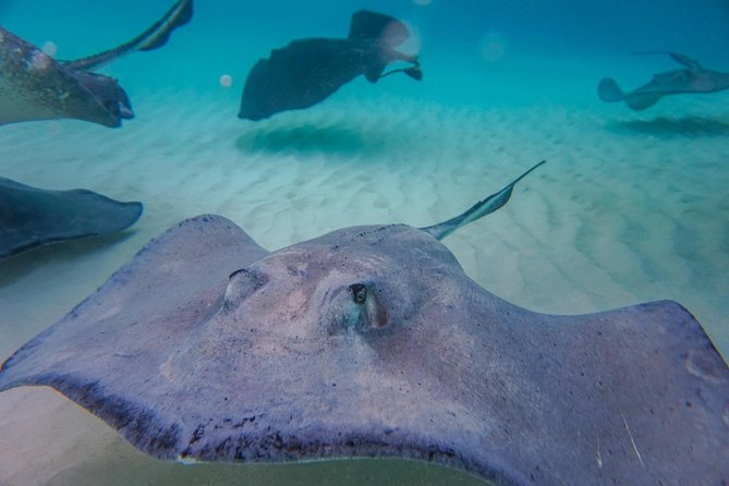 Private, luxury, custom charters to Stingray City, Snorkeling & More - Rum Point and the flexible route