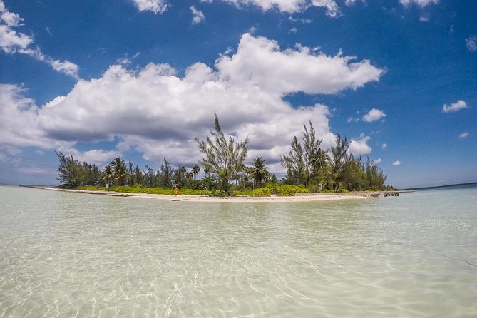 Private, luxury, custom charters to Stingray City, Snorkeling & More - Stingray City is the main event