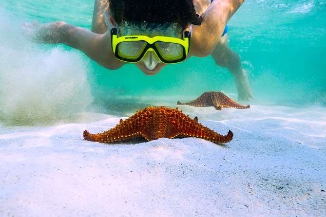 Private Stingray City and Snorkeling Half Day Charter for 6 Guest - Key things to know before you book