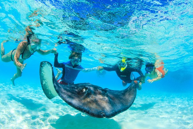 Private Stingray City and Snorkeling Half Day Charter for 6 Guest - A private start from Camana Bay Harbour