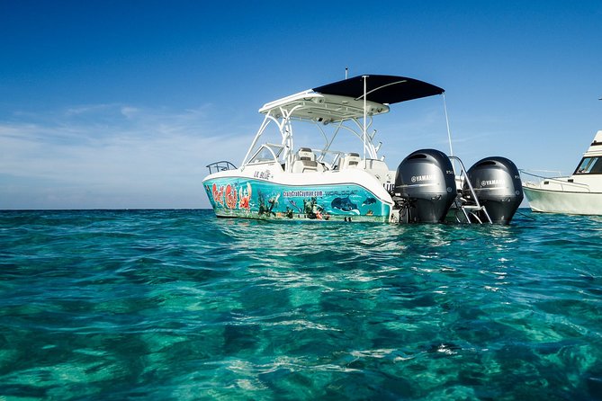 Private Stingray City and Snorkeling Half Day Charter for 6 Guest - Is $1,100 a fair price?